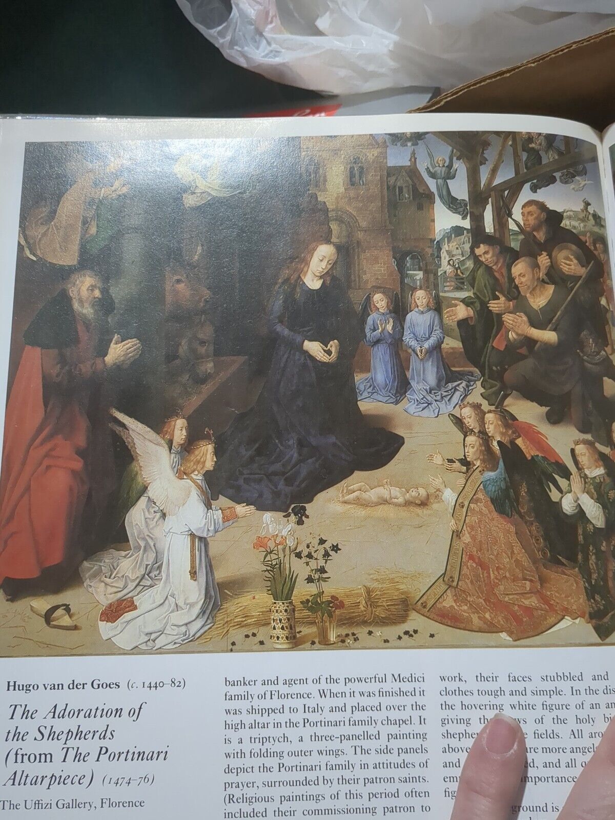 Image #8