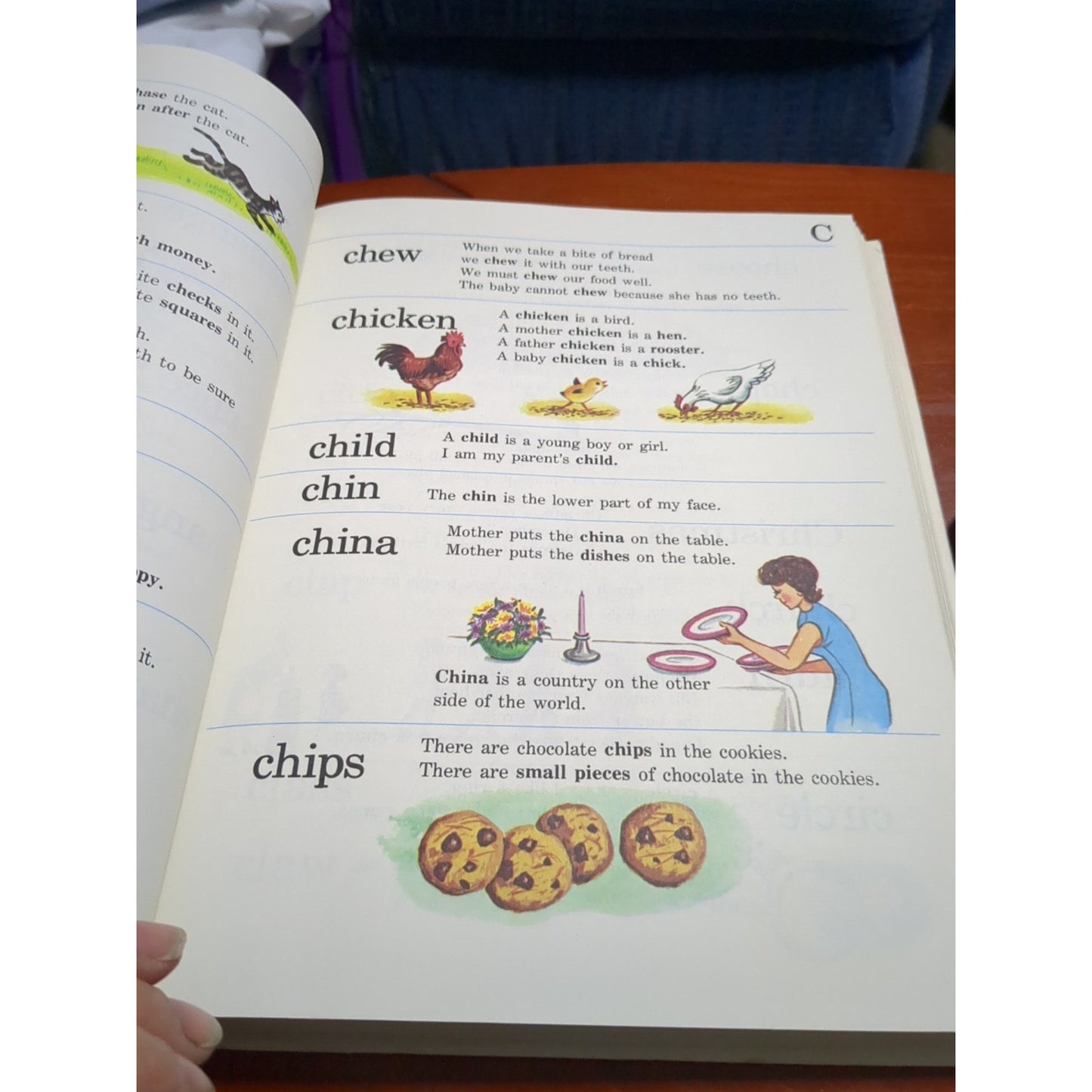 The New Color-Picture Dictionary for Children