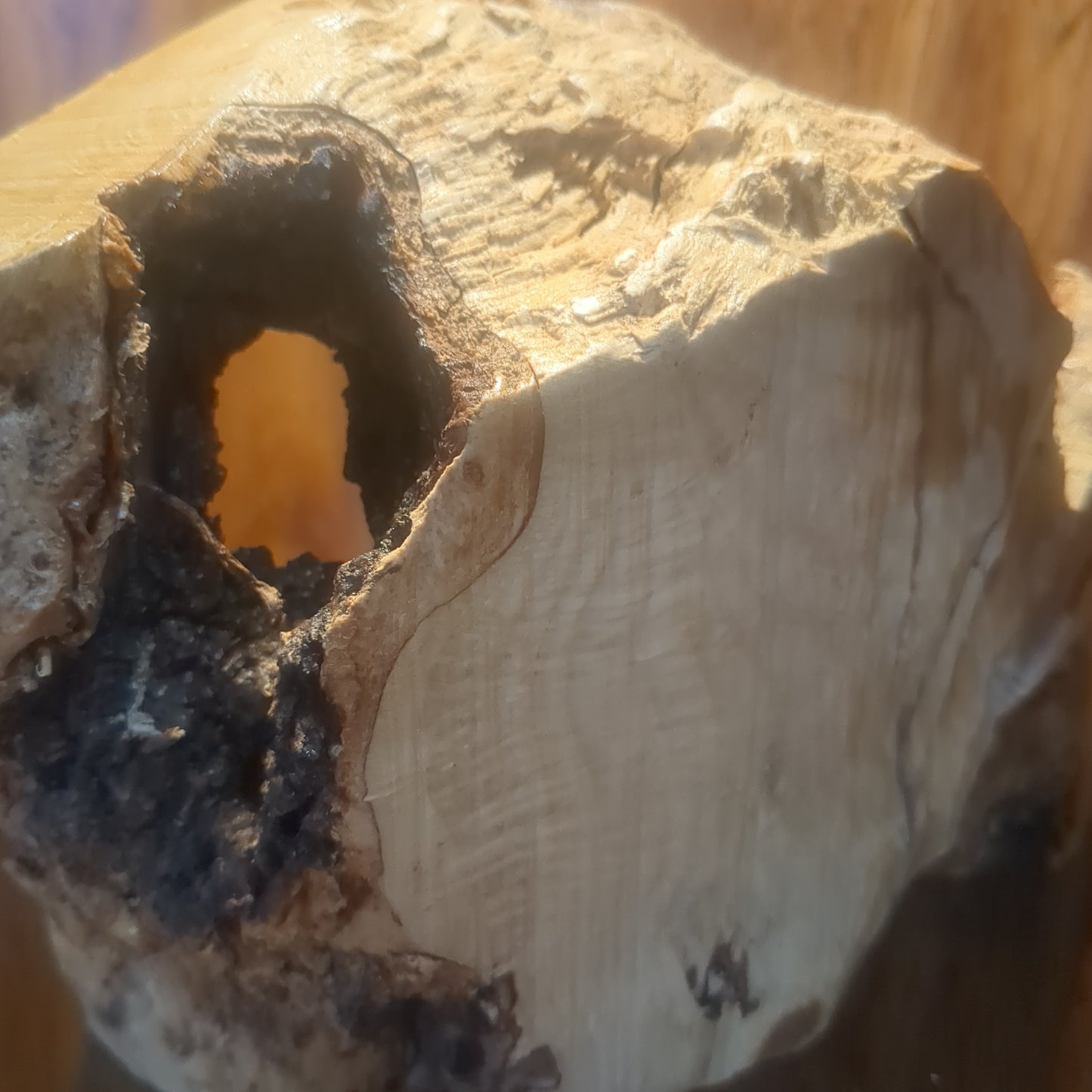Large Grotto nativity made from Roots of the olive wood tree.  Made in Bethlehem. N1