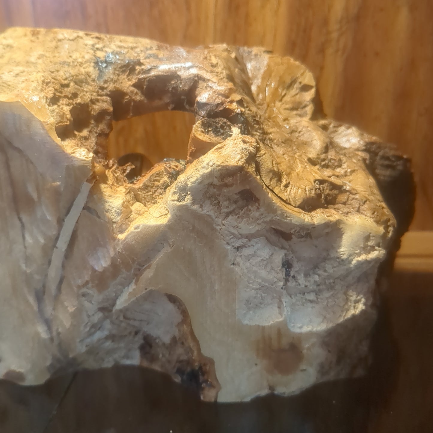 Large Grotto nativity made from Roots of the olive wood tree.  Made in Bethlehem. N1