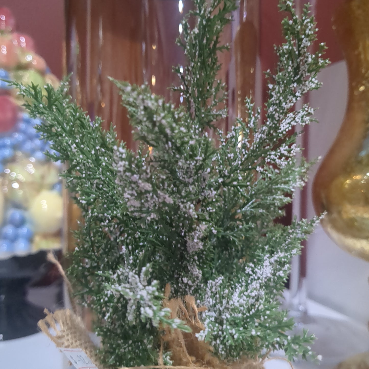 Snowy Mini Cedar Tree w/Burlap Base, 11.5"