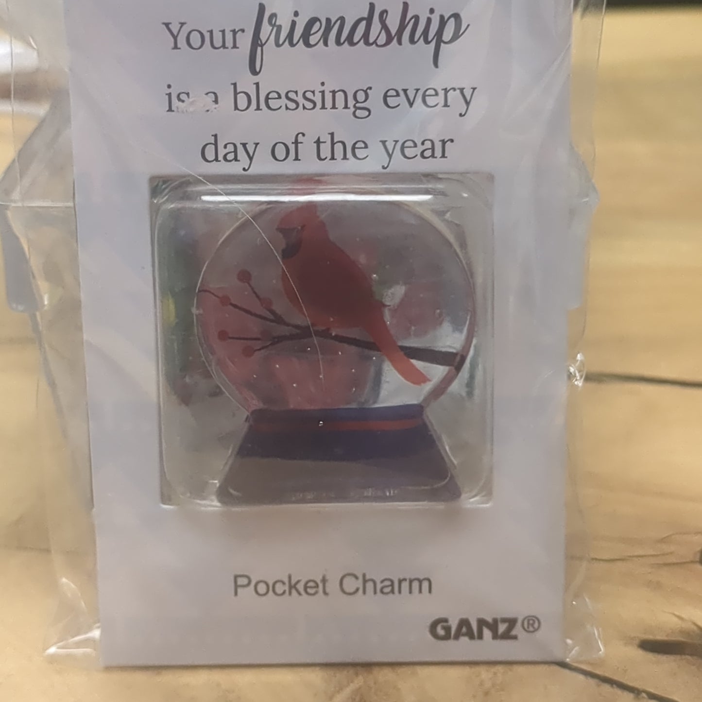 Pocket charm snow globe appearance with cardinal inside. Your friendship is a blessing every day of the year