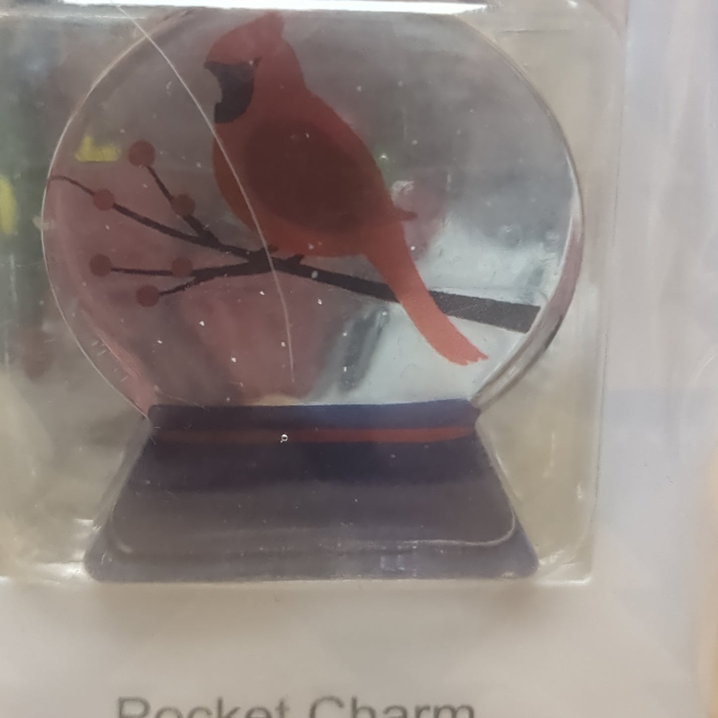 Pocket charm snow globe appearance with cardinal inside. Your friendship is a blessing every day of the year