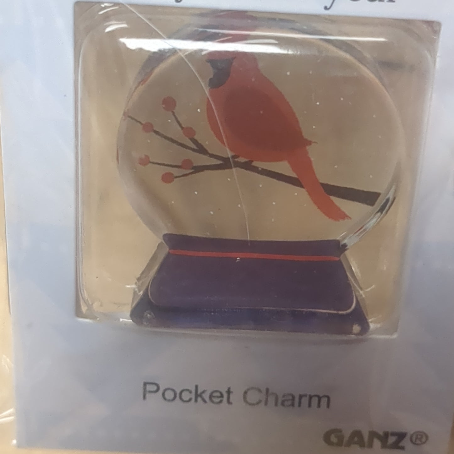 Pocket charm snow globe appearance with cardinal inside. Your friendship is a blessing every day of the year