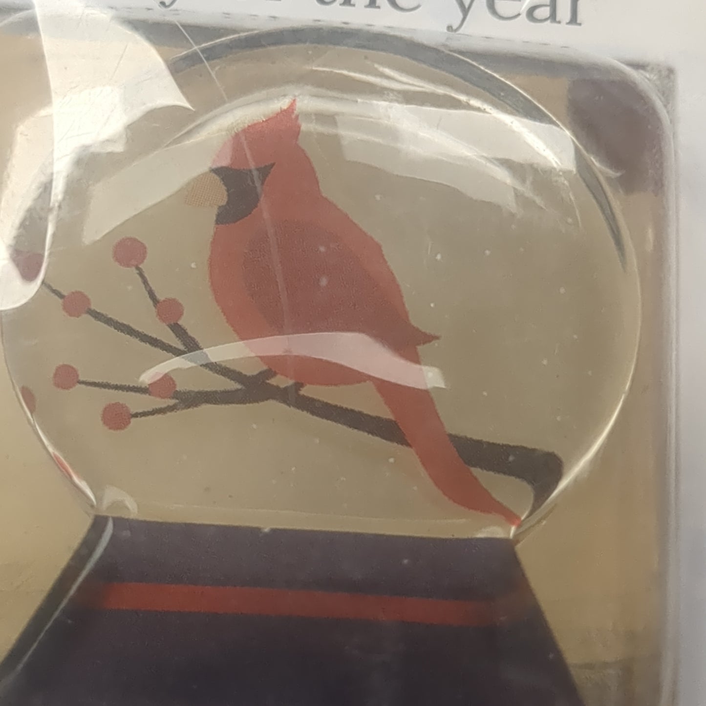 Pocket charm snow globe appearance with cardinal inside. Your friendship is a blessing every day of the year