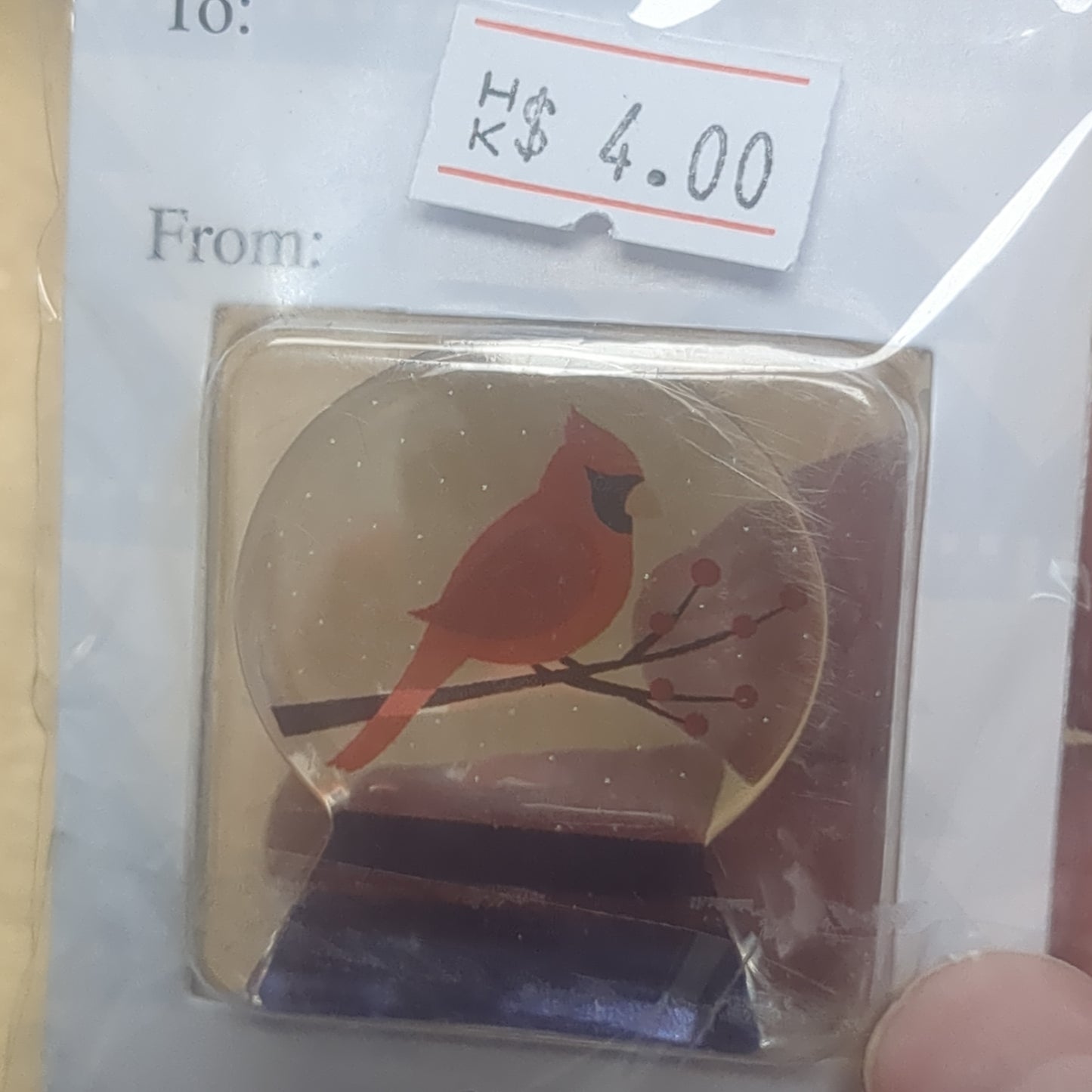 Pocket charm snow globe appearance with cardinal inside. Your friendship is a blessing every day of the year