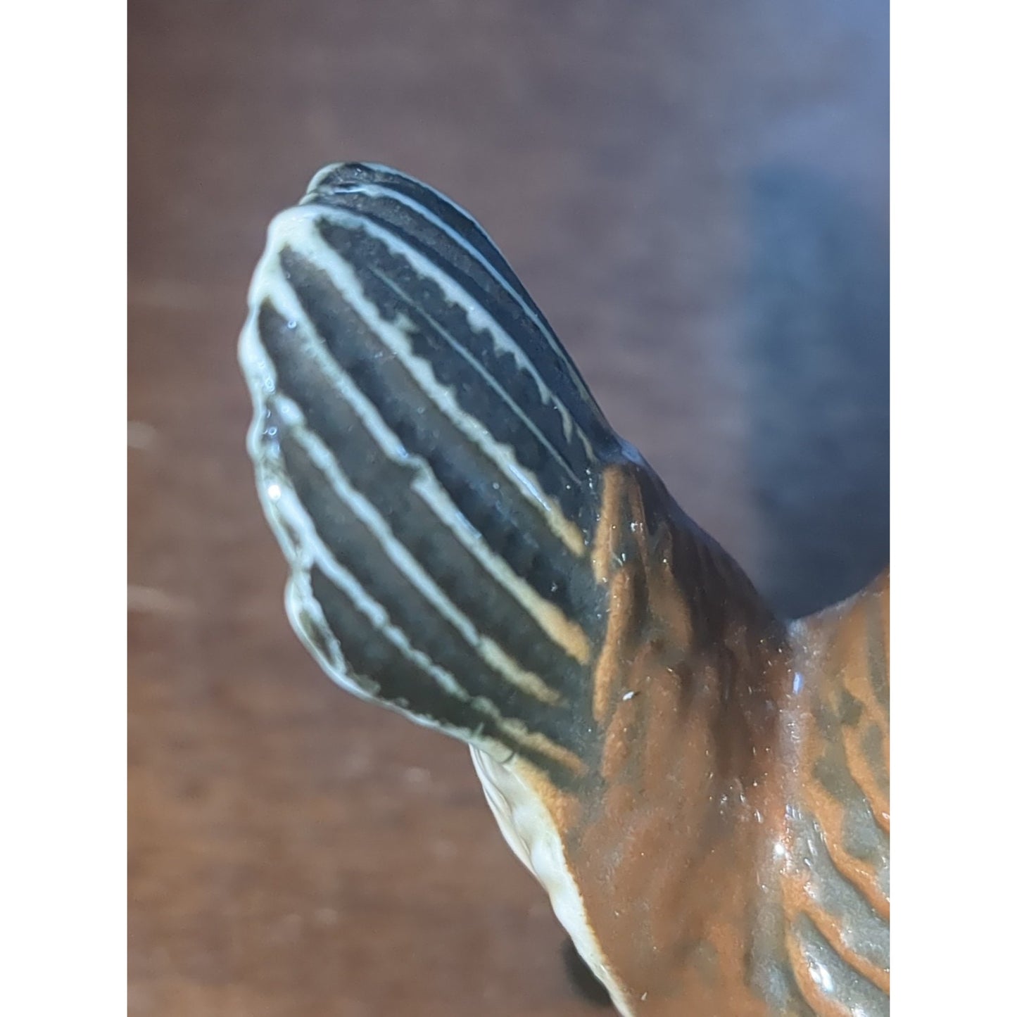 Vintage Karl Ens Porcelain Wren Bird On Branch Figurine