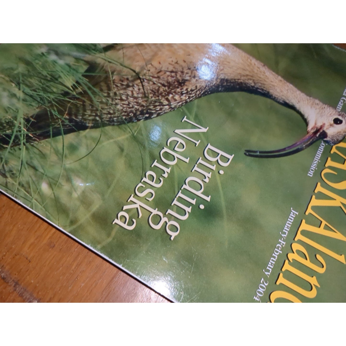 Birding Nebraska; Where to Find Hundreds of Species ...