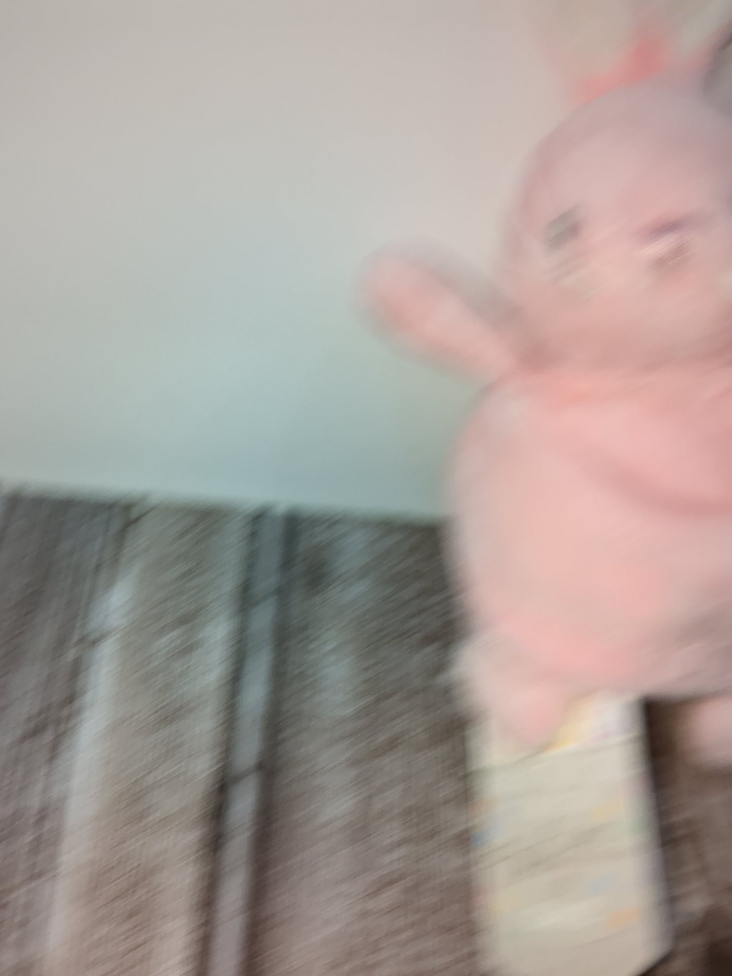 Bb1 Flipsides plushy. Bunny and sheep