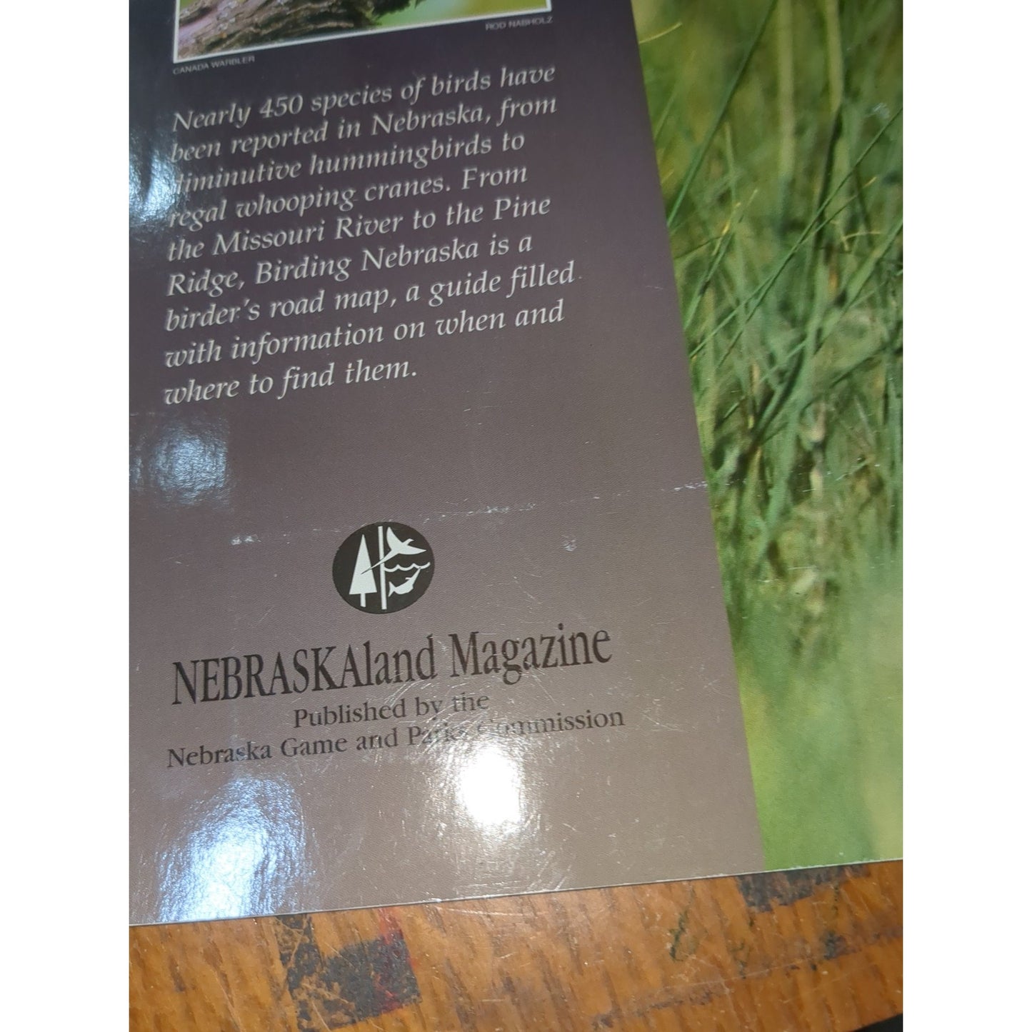 Birding Nebraska; Where to Find Hundreds of Species ...