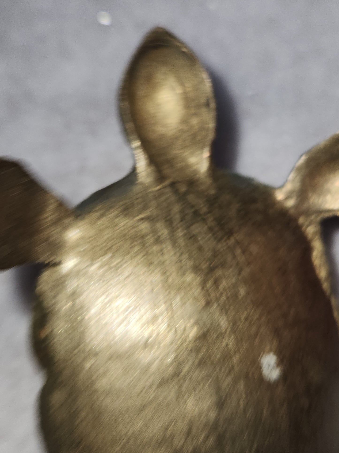 Vintage Solid Brass turtle trinket dish br120