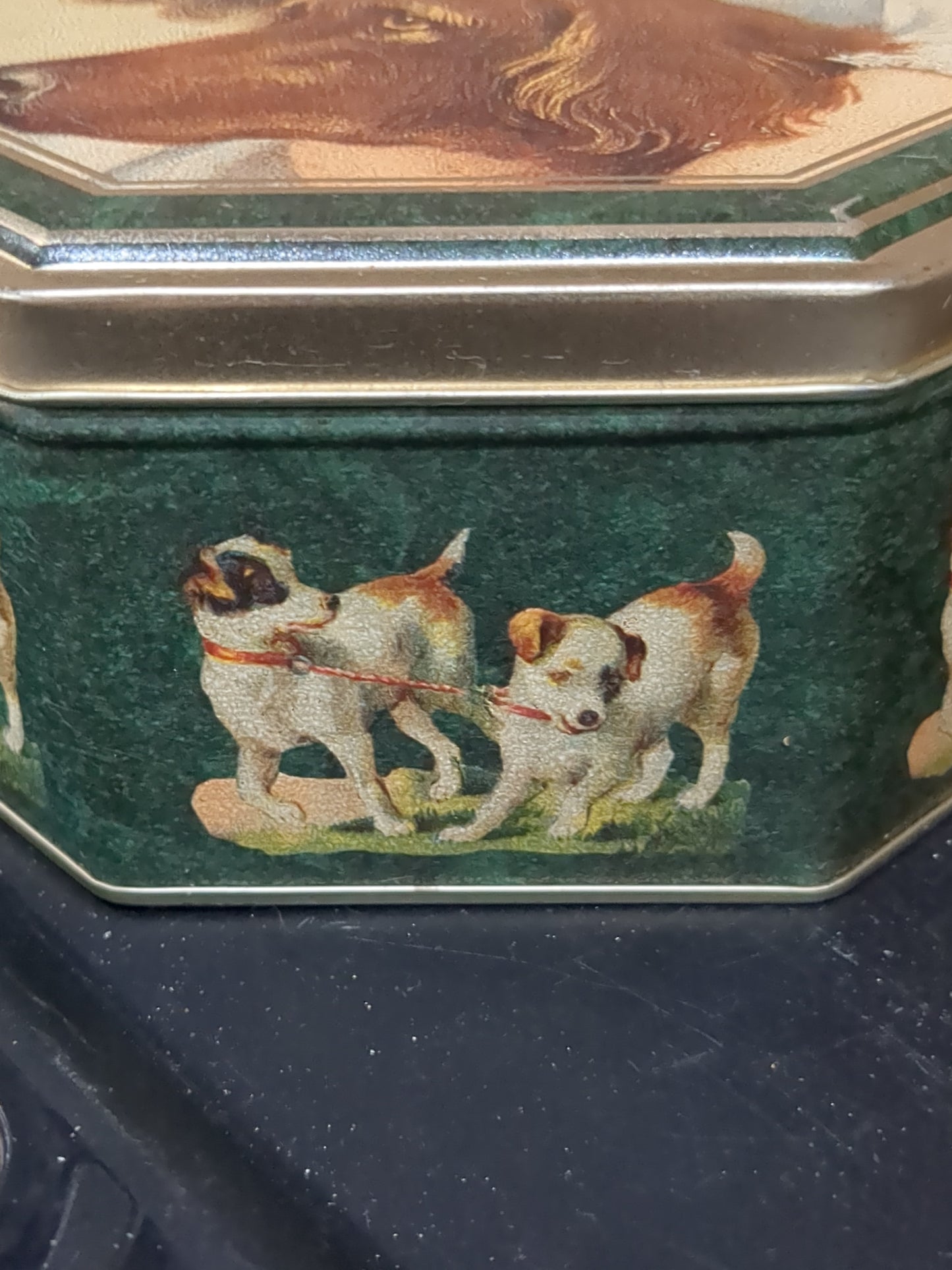 Cookie Victoria Graphics Victorian Blue Eyed Girl and Retriever Octagon Tin 1994 tin1164