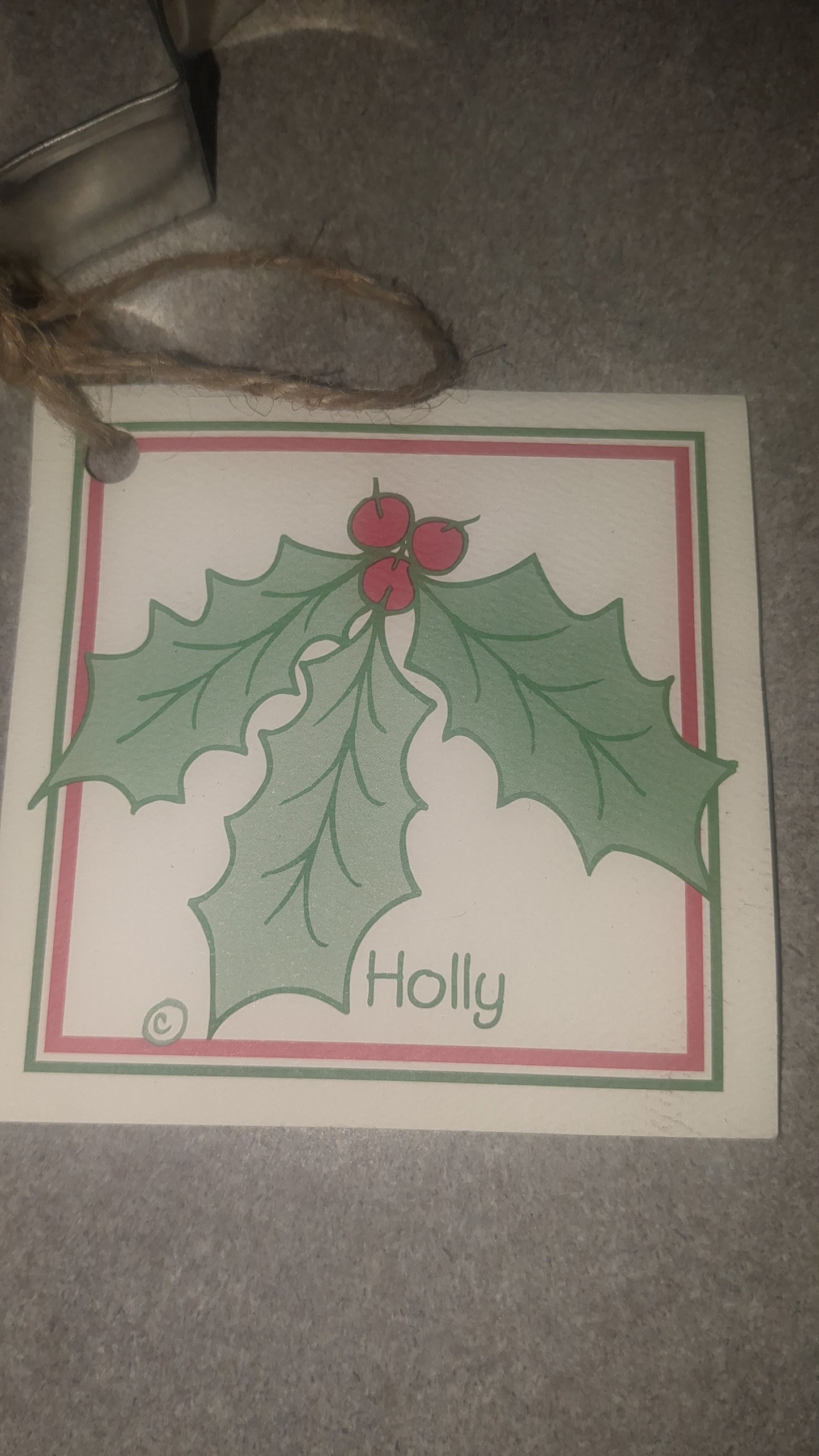 AC4 Ann Clark Holly Cookie cutter with recipe