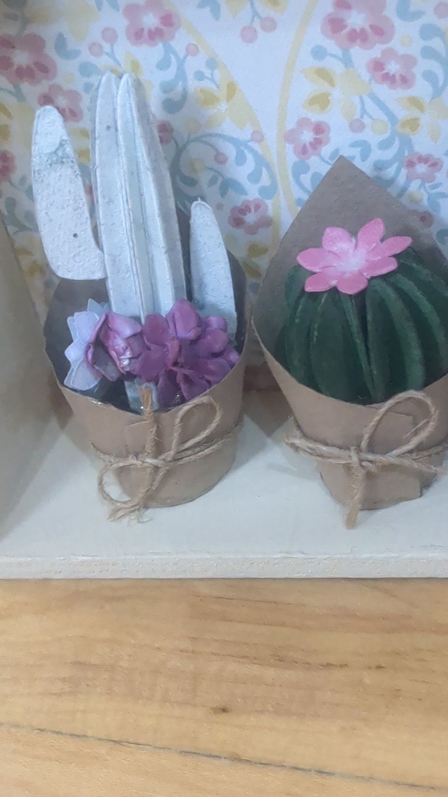 Cactus shadow box double sided unique one of a kind