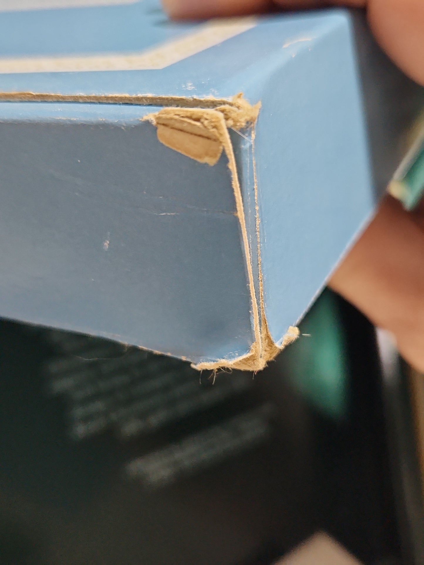 Vintage Avon Christmas 1976 Bringing Home the Tree Plate Original Box. Enoch Wedgewood England