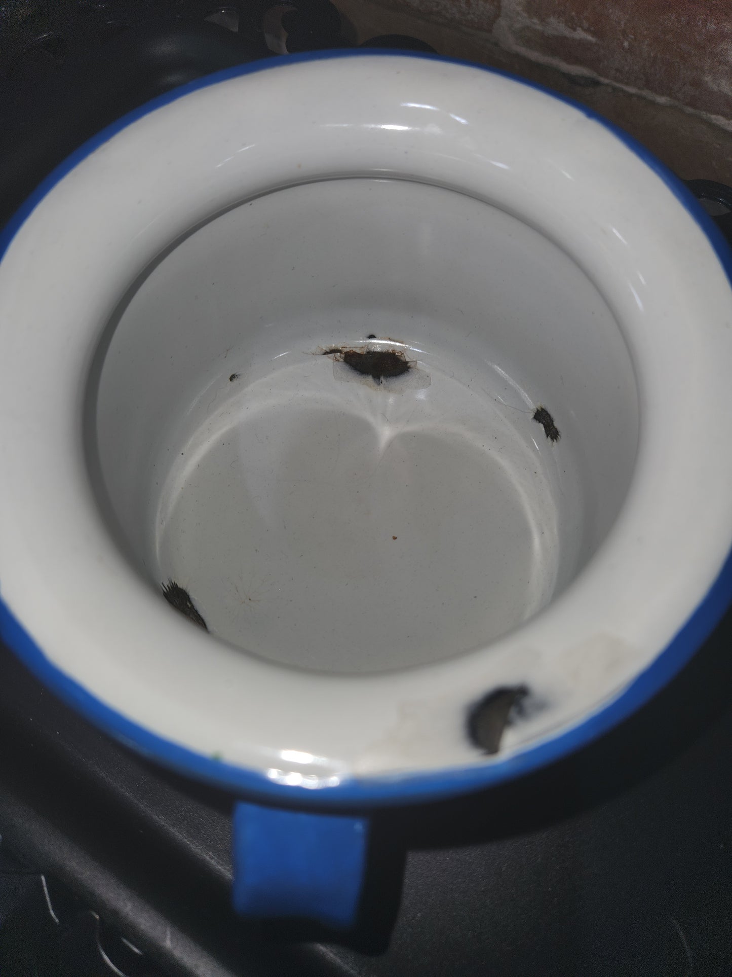 Antique enamel enamelware childrens chamber pot white with lighter blue trim enm8