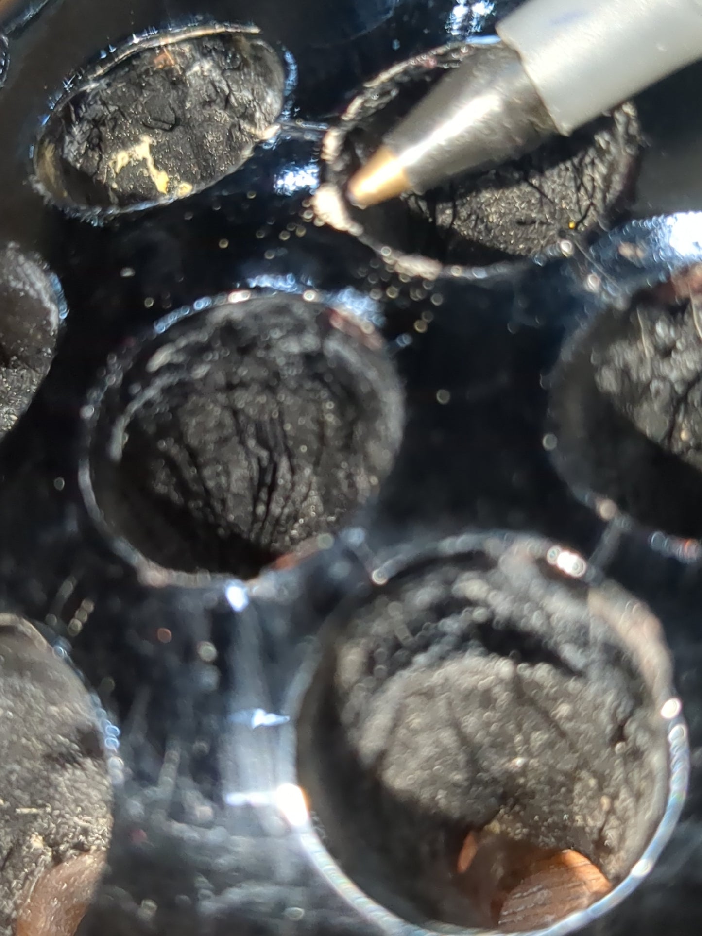 Vintage black flower frog 16 holes g334