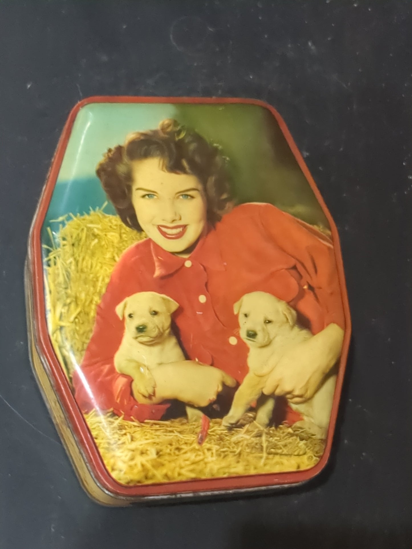 Vintage George W Horner Dainty Dinah Chocolate Devon Sweets tin tin978