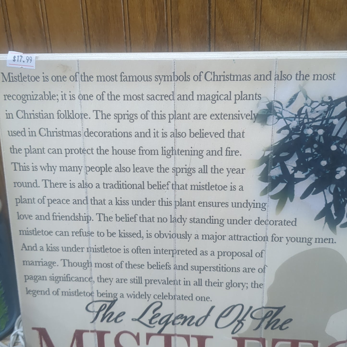 Mistletoe Sign