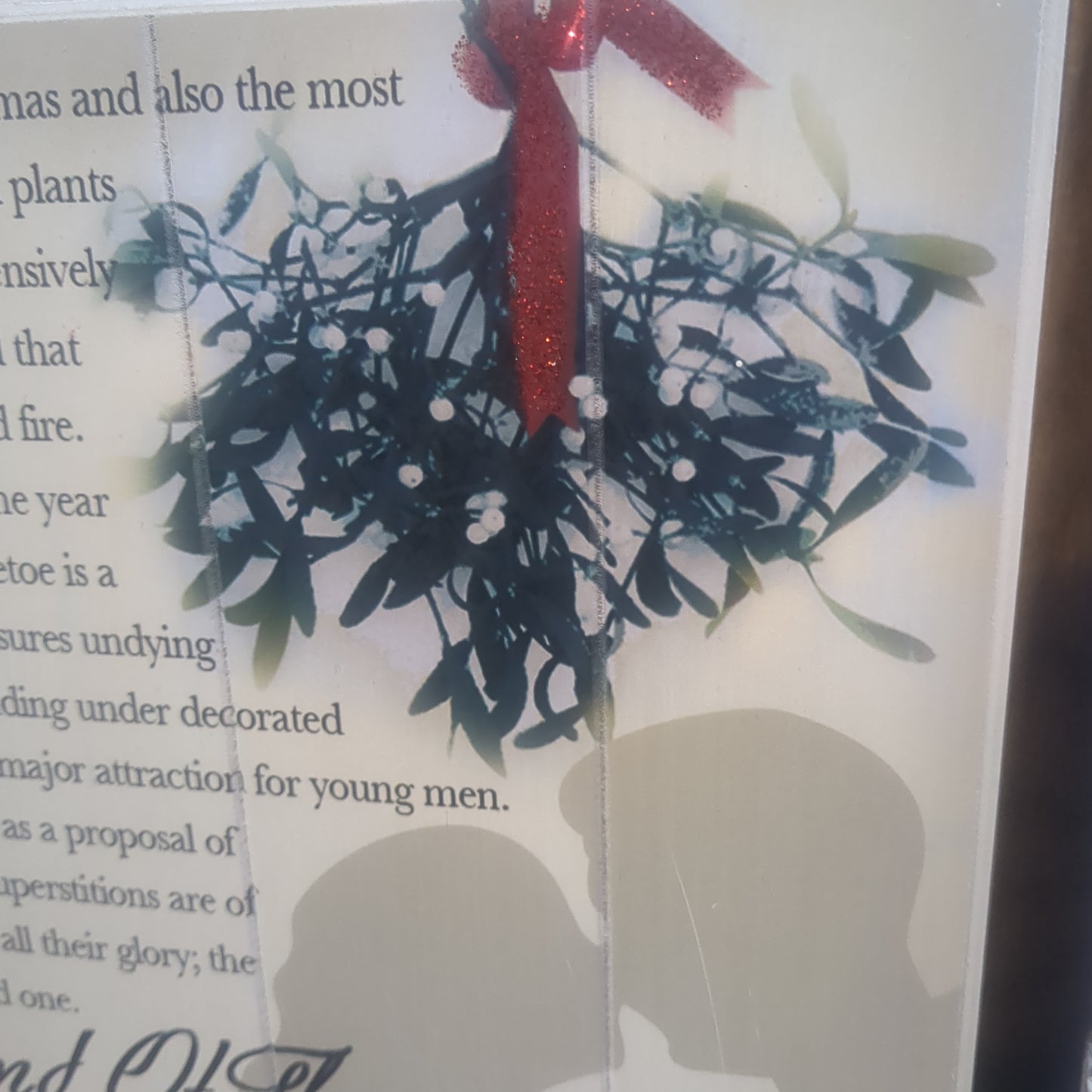 Mistletoe Sign