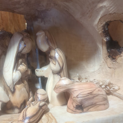 Large Grotto nativity made from Roots of the olive wood tree.  Made in Bethlehem. N1