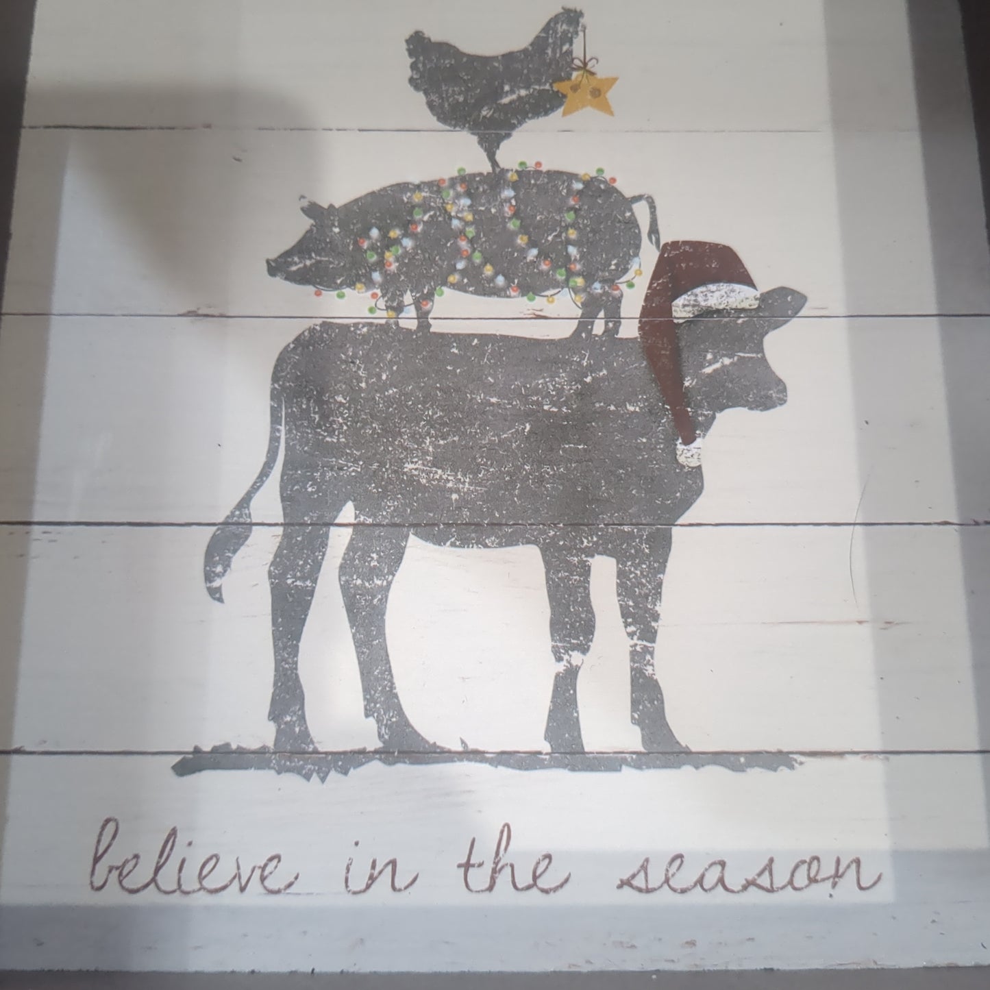 Believe in the Season Box Sign