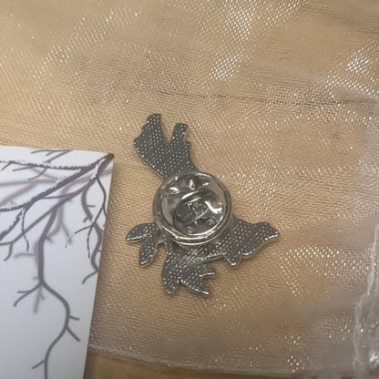 Cardinal pin, I am with you always Matthew 28:20