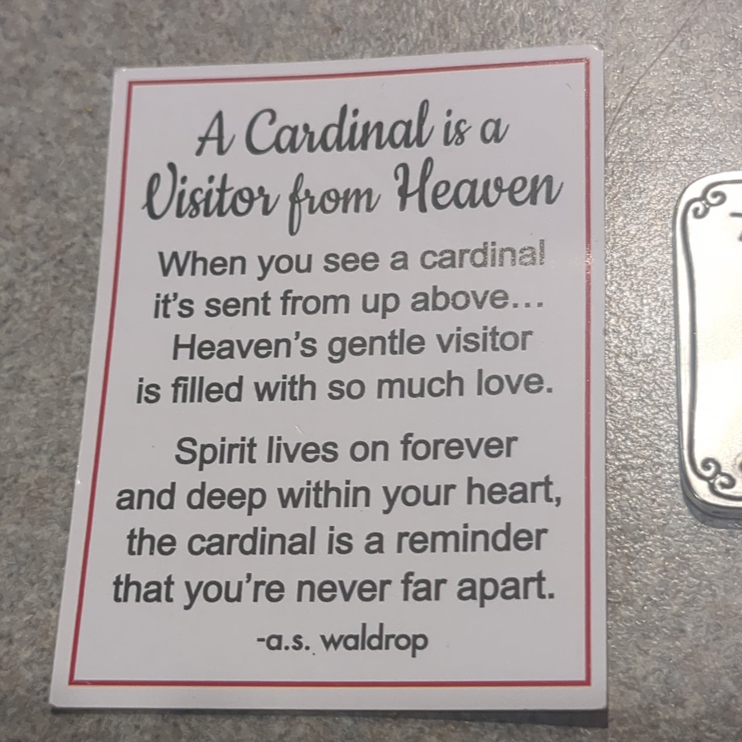Pc1 Always in my thoughts Cardinal charm