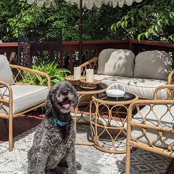 Hand-Woven Rattan & Mango Wood Live Edge Bowl, Set of 2  NOT AVAILABLE AT MINDEN LOCATION