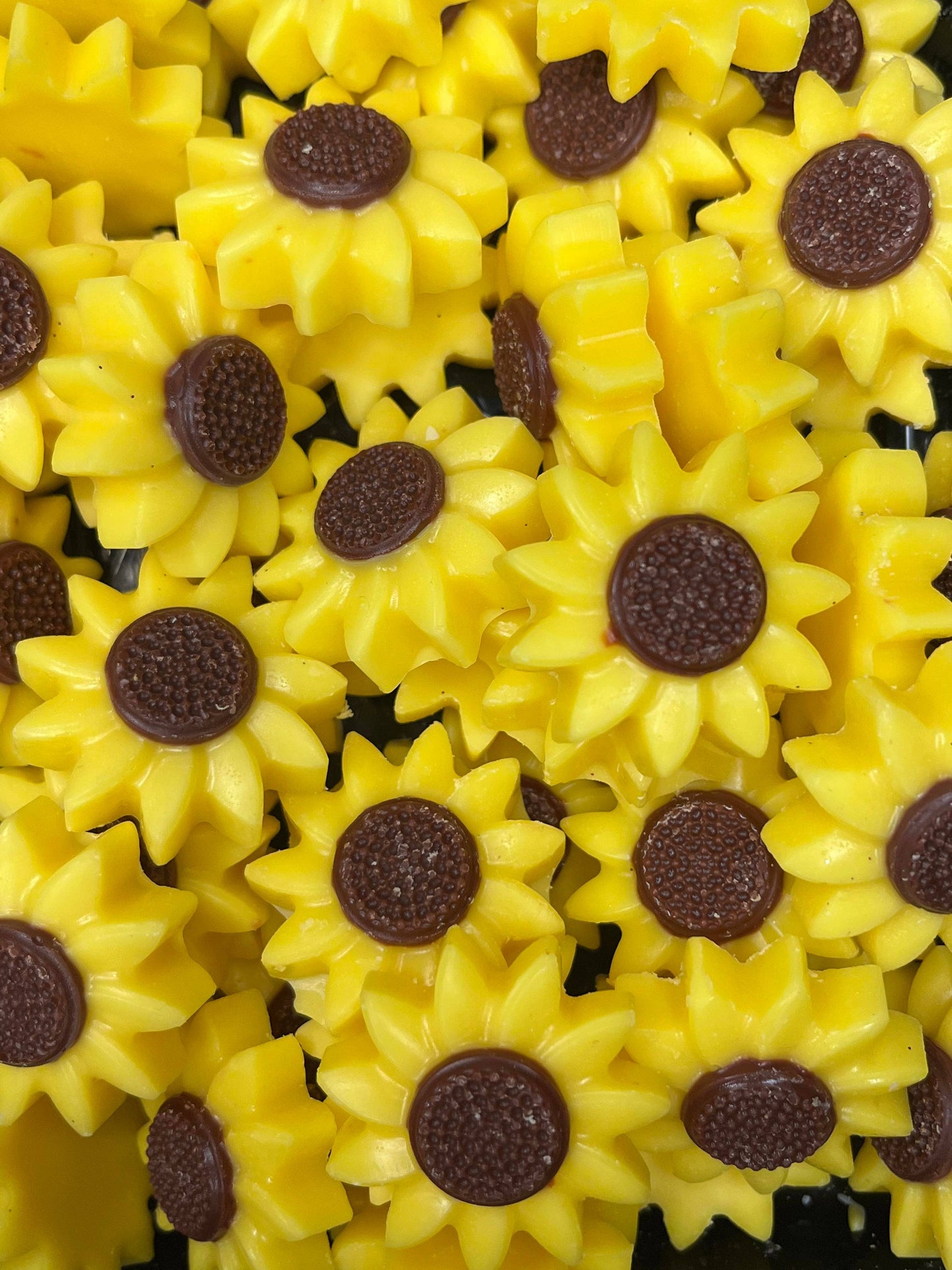 WM17a Sunflower Wax Melts: 1oz
