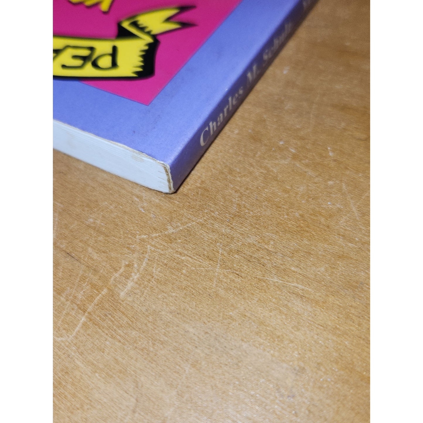 You're The Guest of Honor, Charlie Brownie Charles M. Schulz vintage bk91