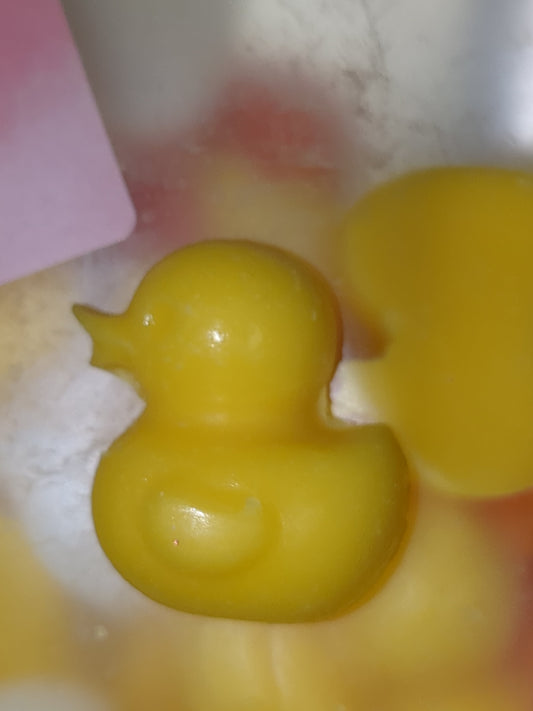 WM26 Duckies Wax Melts 4oz