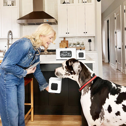 Customizable Metal Kitchen Canisters, Set of Three  NOT AVAILABLE AT MINDEN LOCATION