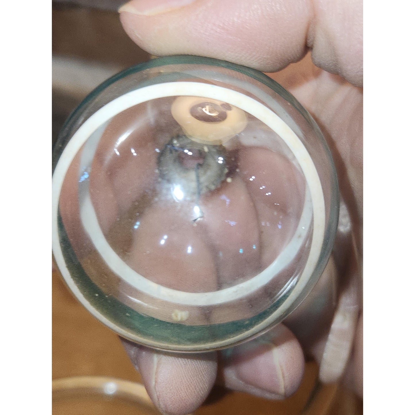 Vintage 2" Unsilvered Transparent Glass Ornament WWII Era 1940s Set of 3 with Stripes Clear and Blue Tint vo231