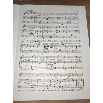 When It's Love Time In Picardy 1919 WWI Pretty Girl Vintage Sheet Music