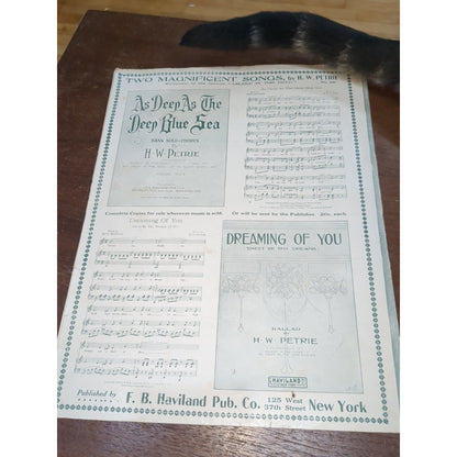 Vintage Sheet Music When The Girl Whose Heart You Long For George Meyer Robert Roden