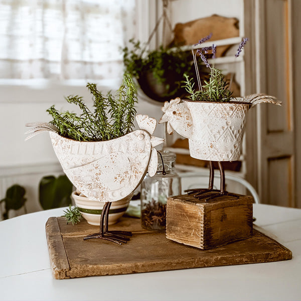 Indoor/Outdoor Distressed Hen Planter, Choose Your Style  NOT AVAILABLE AT MINDEN LOCATION