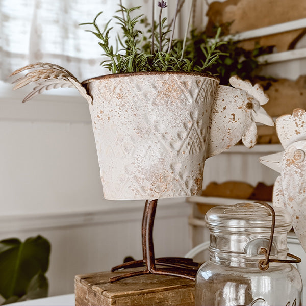 Indoor/Outdoor Distressed Hen Planter, Choose Your Style  NOT AVAILABLE AT MINDEN LOCATION