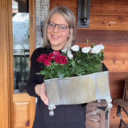 Aged Metal Footed Planters, Set of Two NOT AVAILABLE AT MINDEN LOCATION