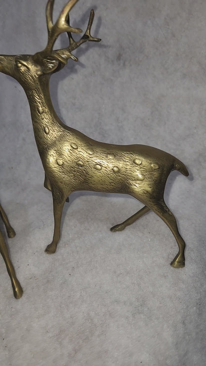 Vintage Solid Brass Doe and 8 Point Prancing Buck Korea br150