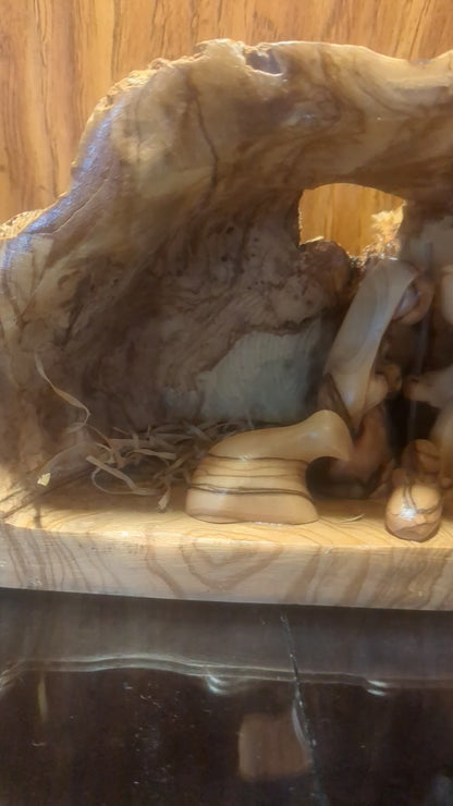Large Grotto nativity made from Roots of the olive wood tree.  Made in Bethlehem. N1