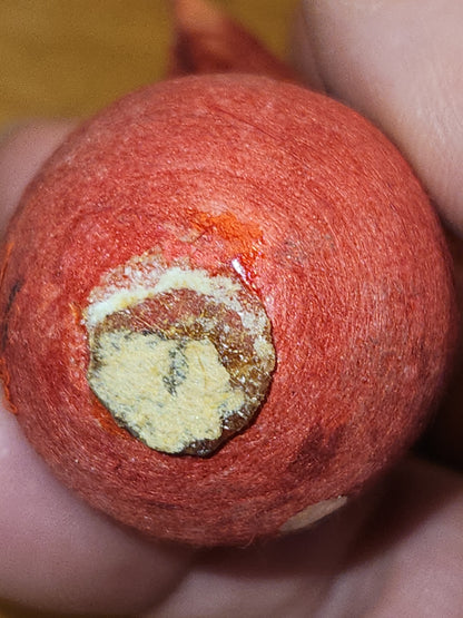 Vintage elf Gnome Santa Spun Cotton Holding Candle Japan AS IS elf67