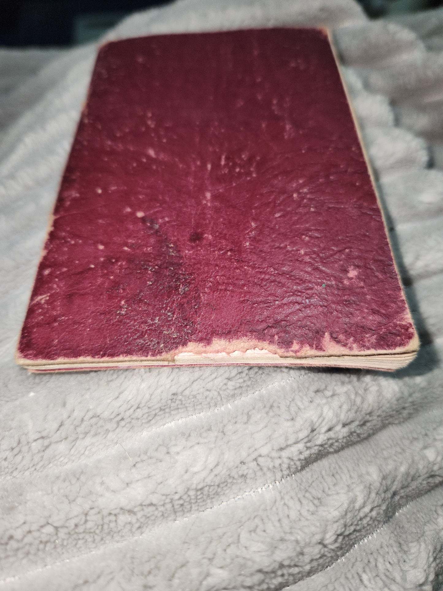 Vintage Softcover Booklet The Greatest Prayer the Mass Bruce Publishing 1934 AS IS ab99