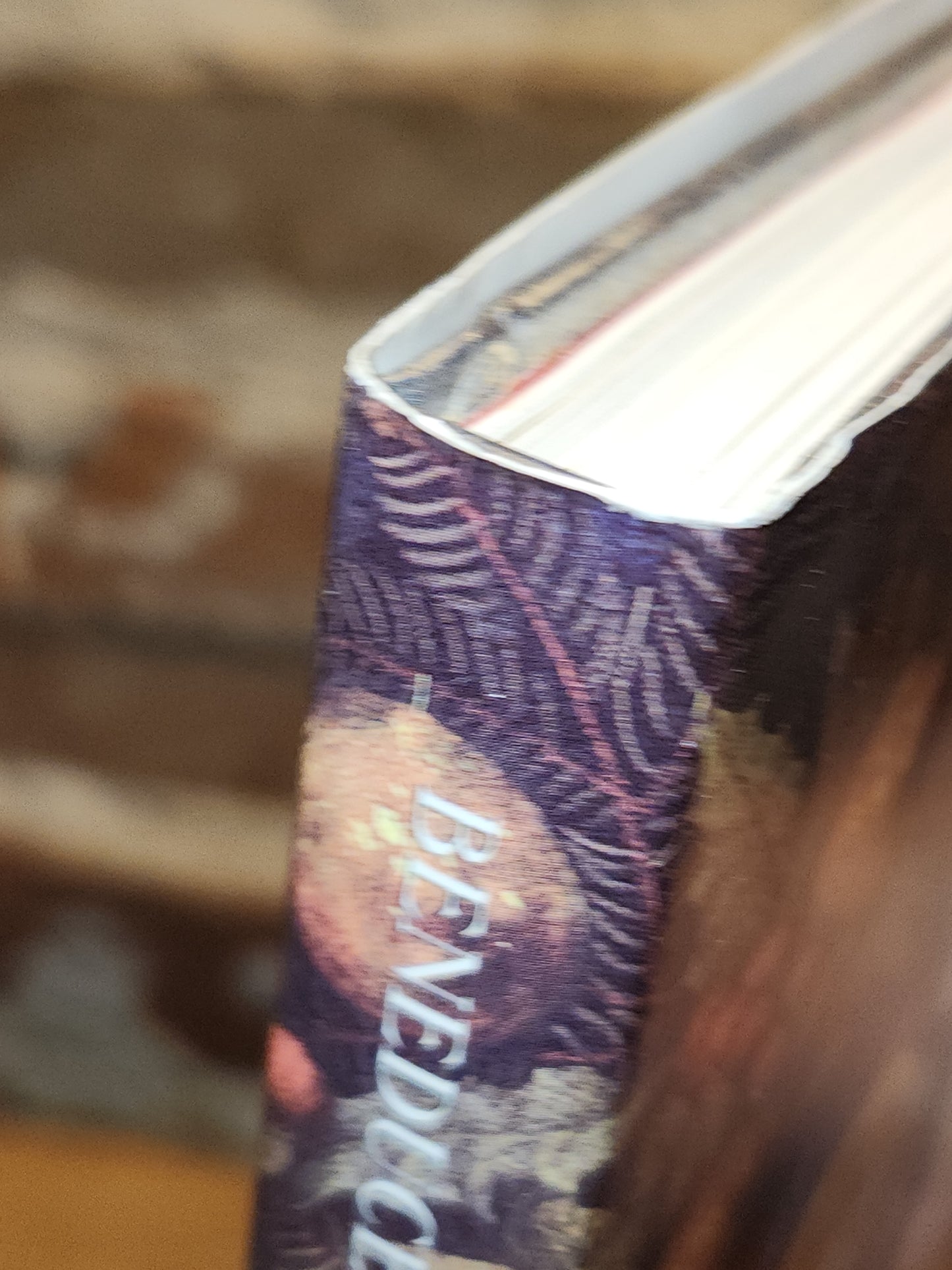 Vintage Book Joy to the World A Family Christmas Treasury by Ann Keay Beneduce Illustrated by Gennady Spirin bk07