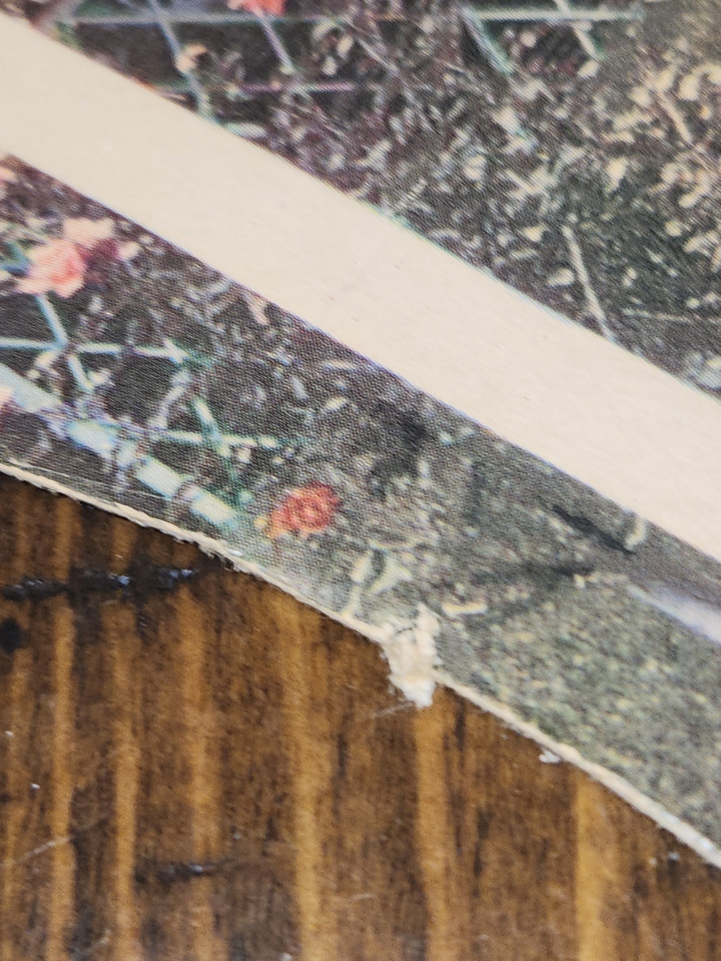 Vintage Advertising Fans Set of 3 Steele Funeral Home Nebraska Norcraft Inc. Cincinnati Ohio fan5