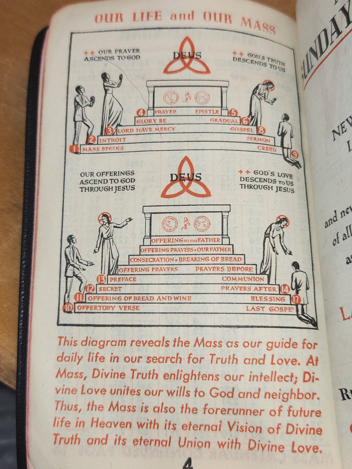 Vintage My Sunday Missal Latin to English Explained By Father Stedman 1941 Pocket Size ab88