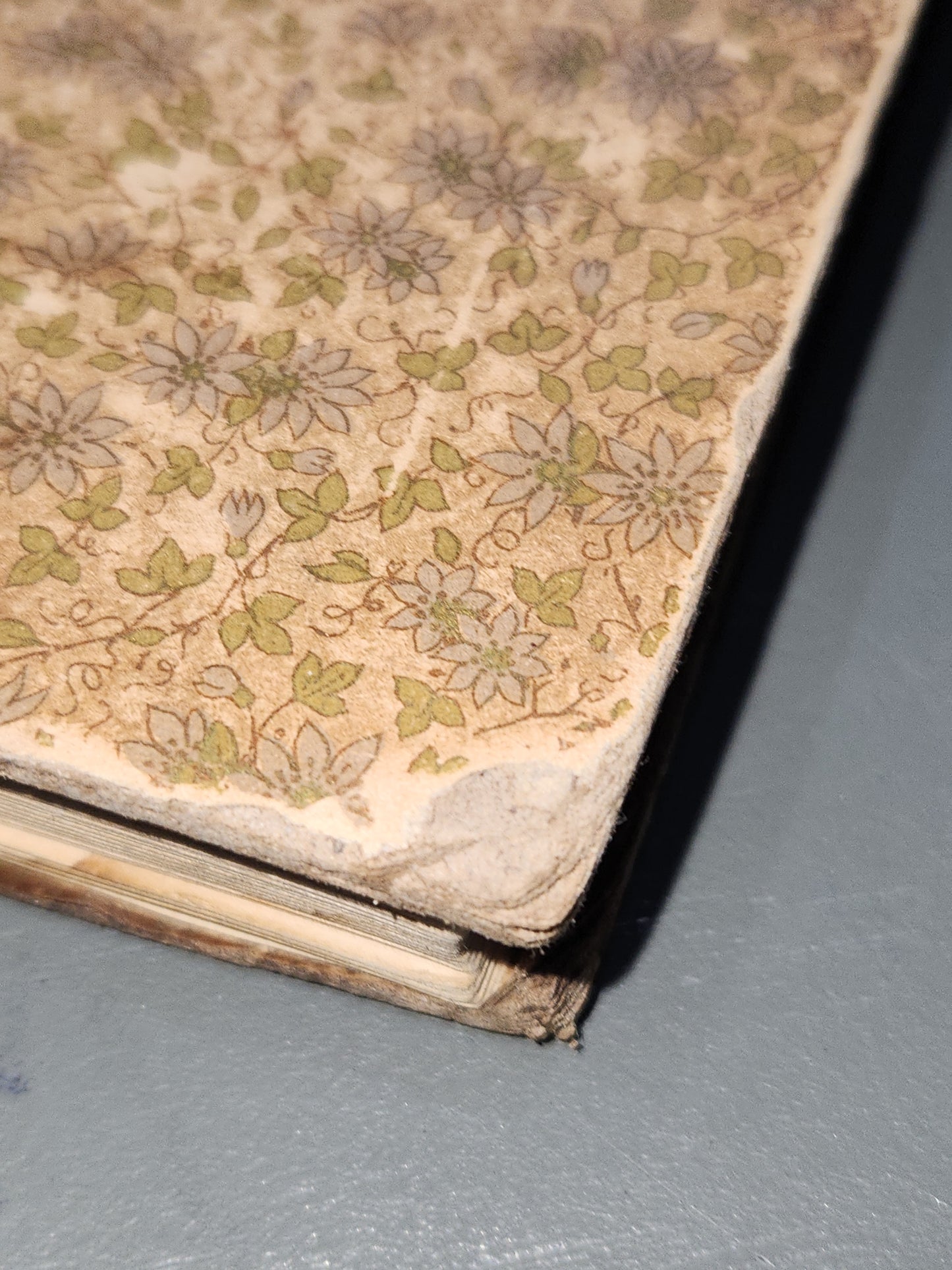 Antique Book A Selection From The Discourses of Epictetus with the Encheuridion George Long Henry Altemus AS IS bk65