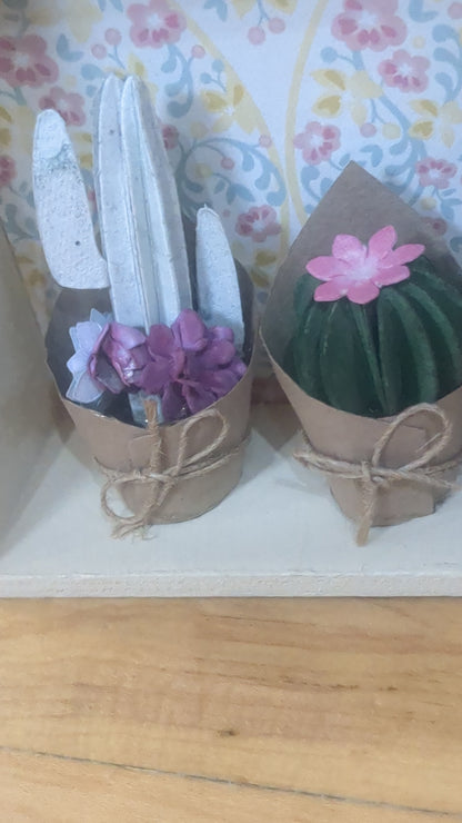 Cactus shadow box double sided unique one of a kind