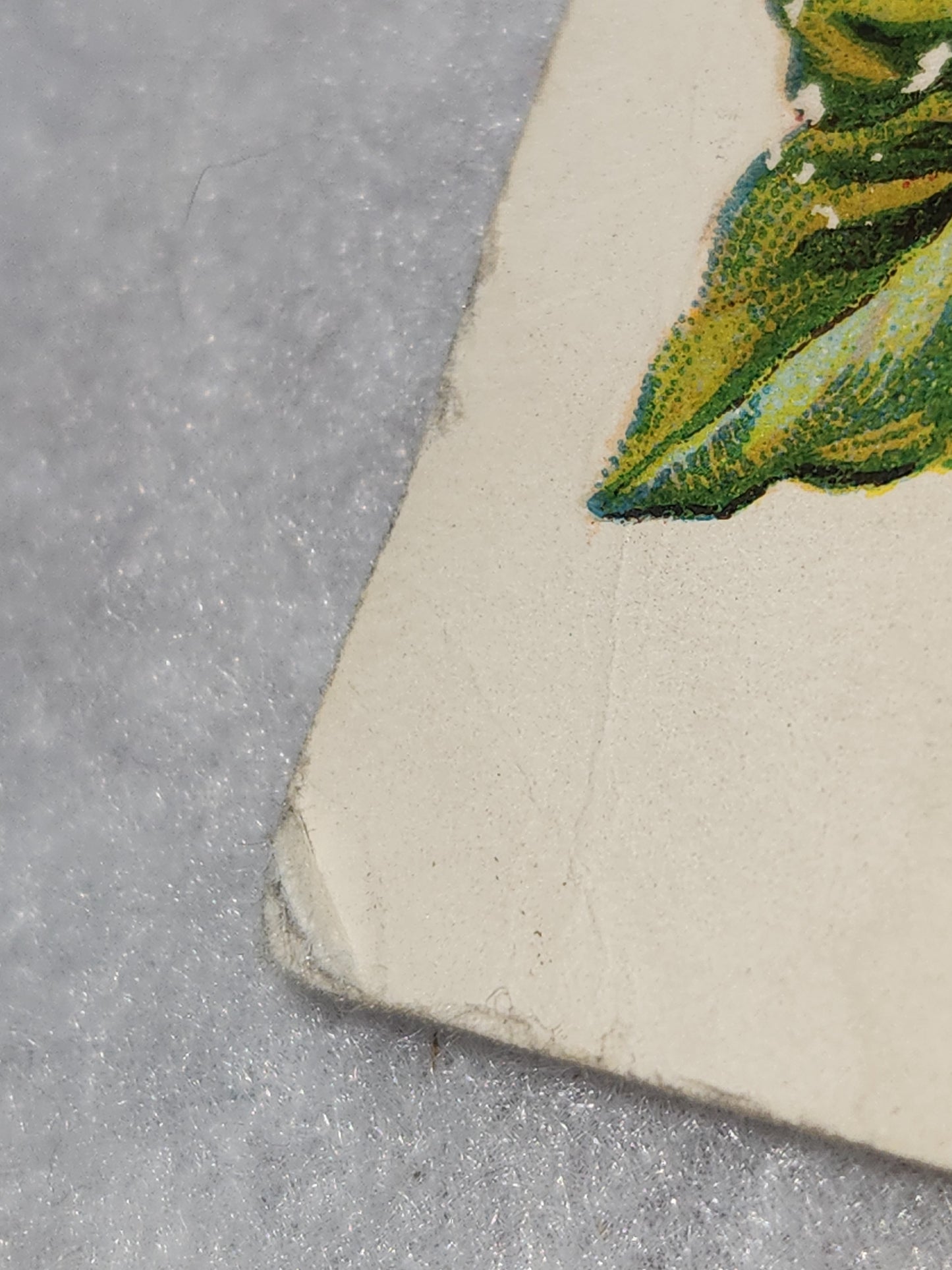 Antique Christmas Postcard Heaty Greetings with Sailboats and Life Preserver 1910 not mailed pc66