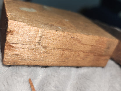 Vintage Wood Metal Newspaper Print Block Printer's Press Easter Lily 2 Blocks pb2e